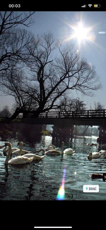 Kartal Centar Apartment *